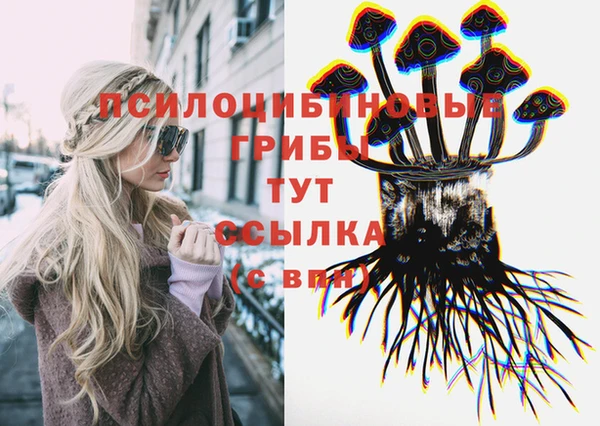 spice Беломорск