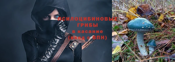 spice Беломорск